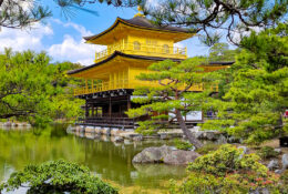 Japan_Sakura_2025 (42/79)